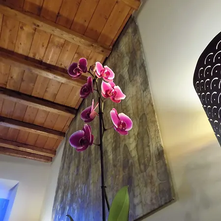 Bed & Breakfast Al Cardinale 4*
