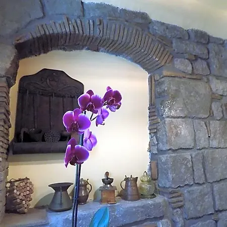 Al Cardinale Bed & Breakfast Viterbo